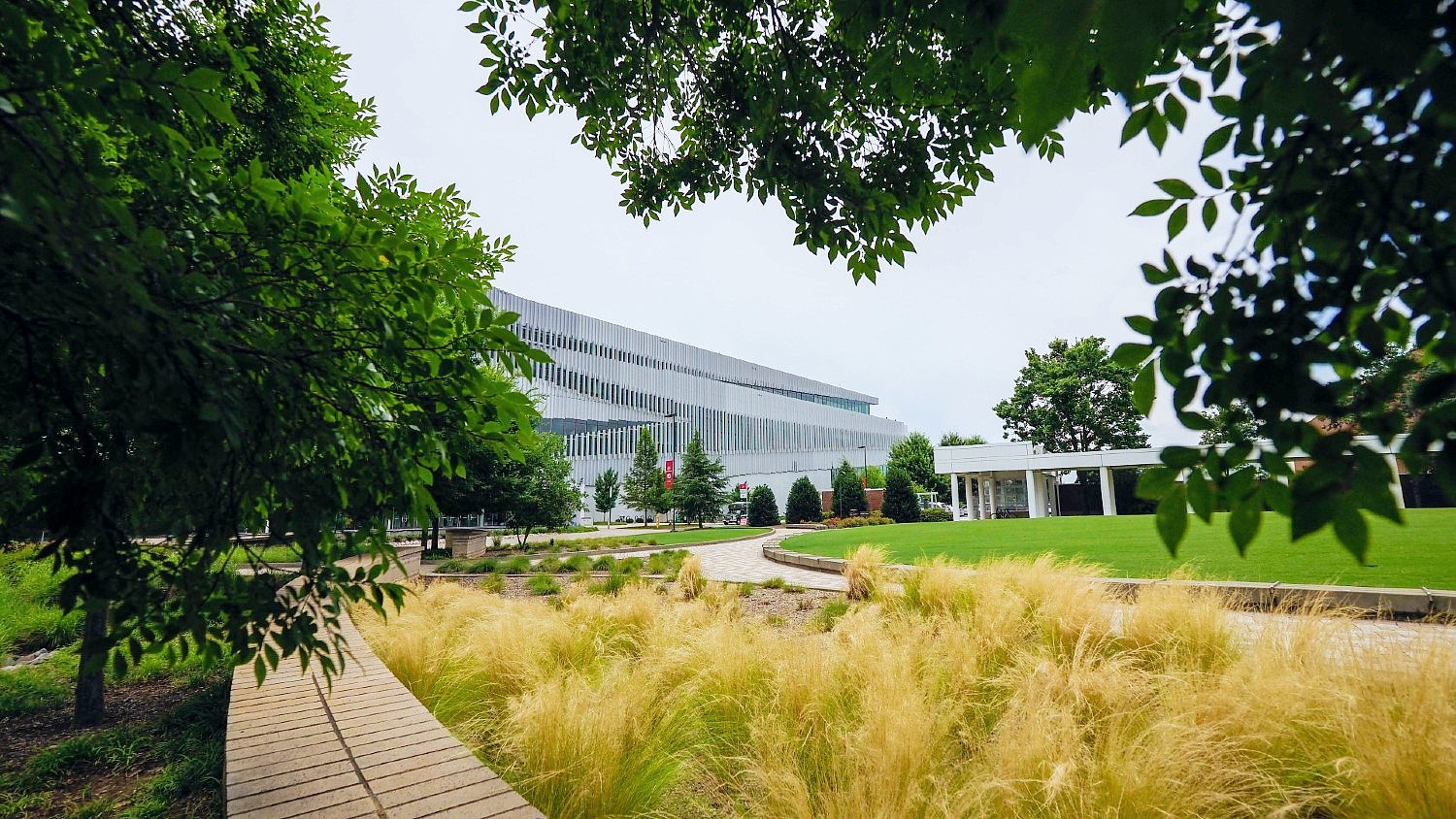 Hunt Library in the background of a grassy walkway
