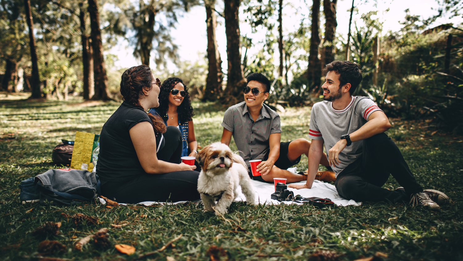 A group of young adults chats on a lawn