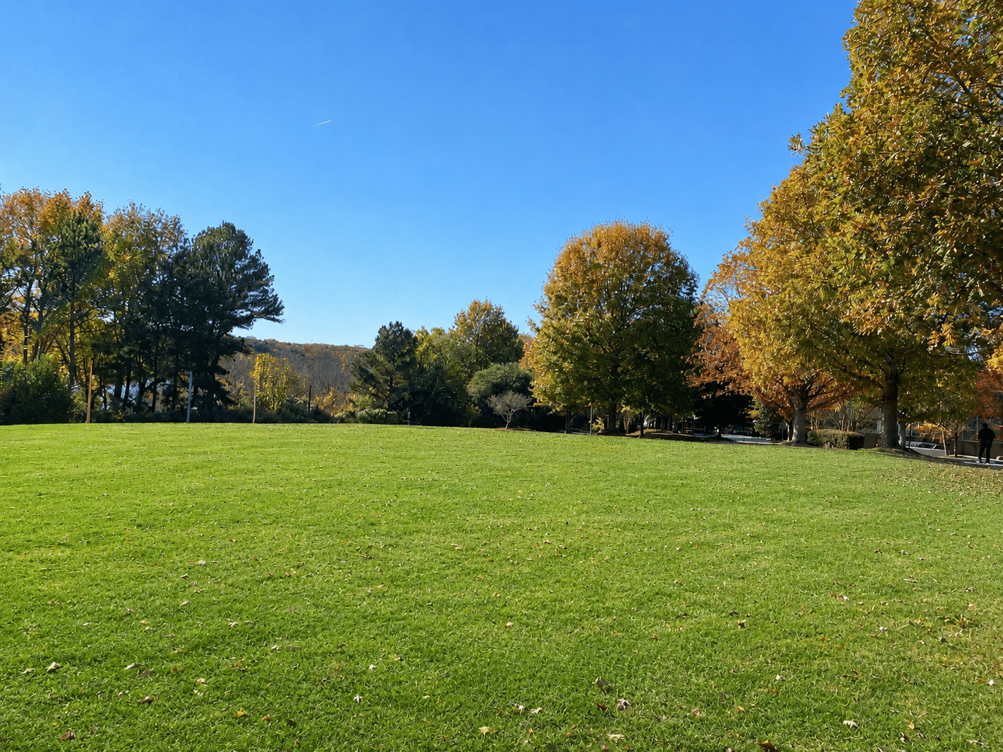 large open grassy field with trees in background